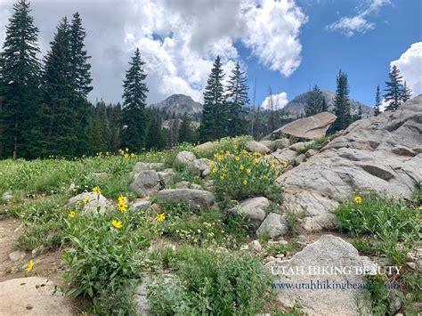 Lake Mary - Utah Hiking Beauty