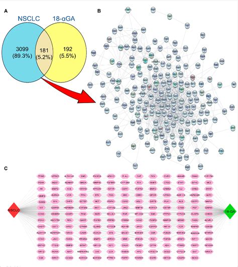 Figure 1 From Integrated Network Pharmacology And Experimental Analysis Unveil Multi Targeted