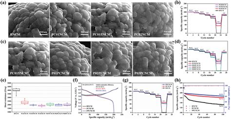 A Sem Images Of Pcncm Particles With A Carbon Content Of Wt To