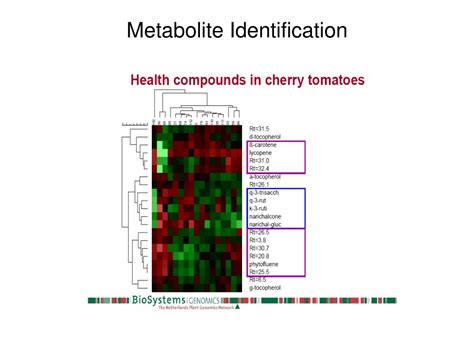 Ppt Bioinformatics For Metabolomics And Fluxomics Powerpoint