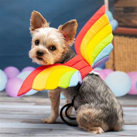 Rainbow Wings Dog Halloween Costume – PupLife Dog Supplies