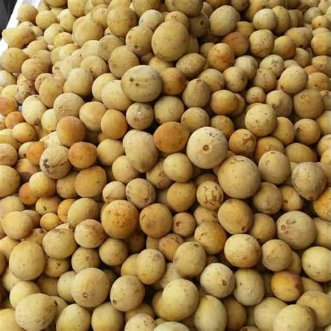 Jual Buah Duku Palembang Kg Shopee Indonesia