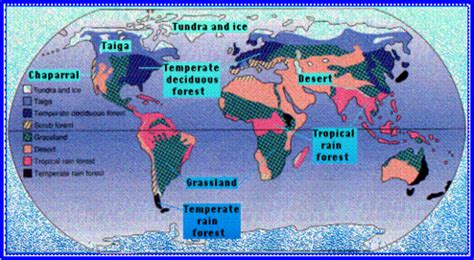 Types Of Ecosystems Biomes Flashcards Quizlet