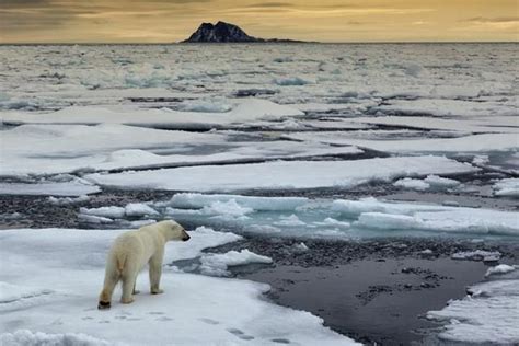 Banquisa Polar La Gu A De Geograf A