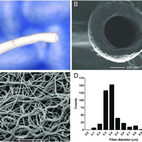 Characterisation Of Electrospun Pcl Graft A Macroscopic Image Of Pcl