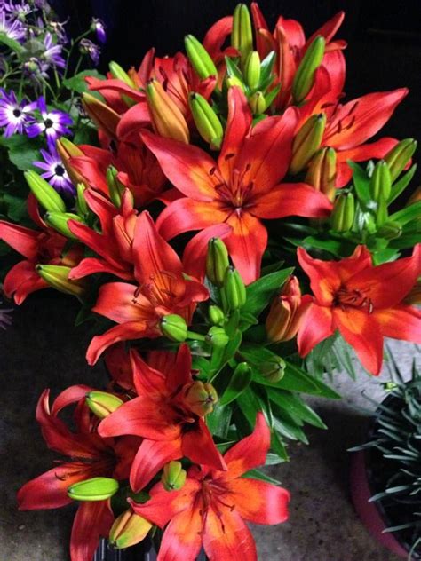 A Vase Filled With Red Flowers On Top Of A Table