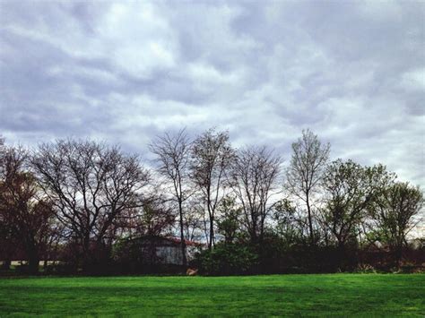 Premium Photo Bare Tree On Grassy Field Against Cloudy Sky