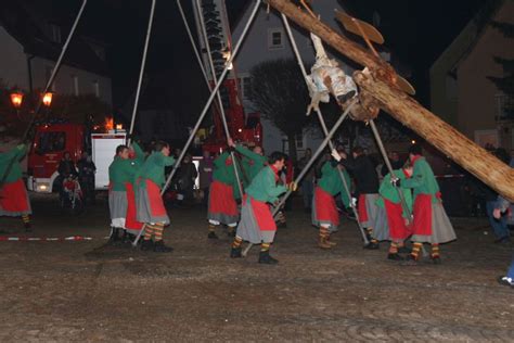 Narrenbaumstellen Narrenzunft Neresheim E V