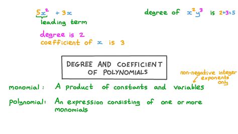 How To Tell The Degree Of A Polynomial Goes Through Detailed Examples