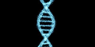 What Should We Call Evolution Driven by Genetic Engineering? | Lab Manager