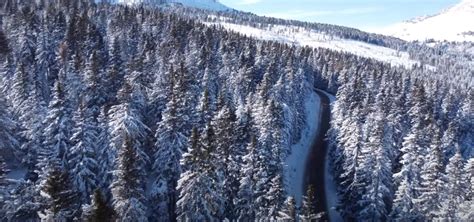 Meteo Trentino Alto Adige Arriva La Neve A Trento E Rovereto Calano