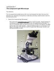 BIOL1010 Spring22 Online Lab 1 The Compound Light Microscope Docx