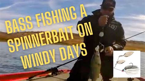 Bass Fishing A Spinnerbait On Windy Days Youtube