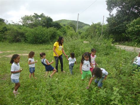 Majorhortencio Aula De Campo Alunos Da Educa O Infantil