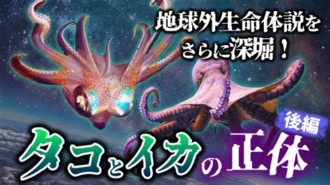 【ゆっくり解説】地球外知的生命体なのか？古代から存在するタコとイカとは何者か？（後編） Youtube