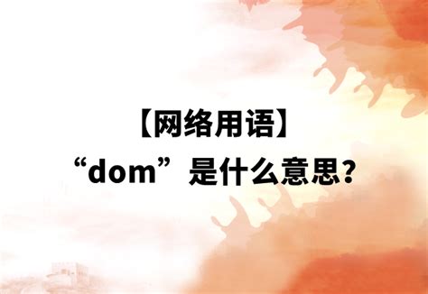 【网络用语】“dom”是什么意思？ 布丁导航网