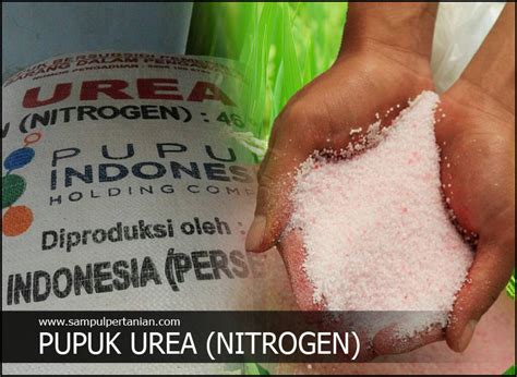 Pupuk Urea Nitrogen Adalah