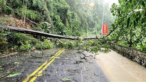 溪頭聯外道路落石頻傳 投縣府「清了又坍」拚搶通單線 南投縣 自由時報電子報