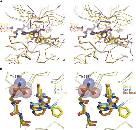 Small Molecule Recognition Of C Src Via The Imatinib Binding Conformation Chemistry And Biology