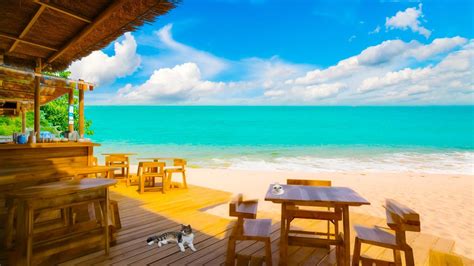 Maldives Seaside Relaxing Ambience With Seaside Cafe Smooth Bossa