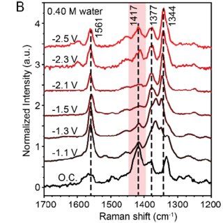 In Situ Surface Enhanced Raman Spectroscopy Of Co Saturated M