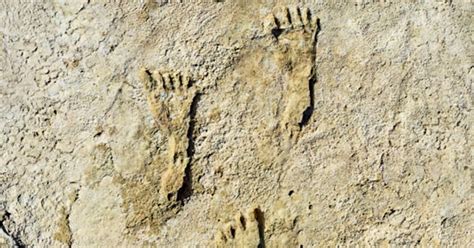 These 23000 Year Old Footprints Are The Earliest Evidence Of Humans In