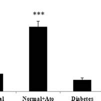 Representative Changes Of Cat Activity Unit Mg Protein In The