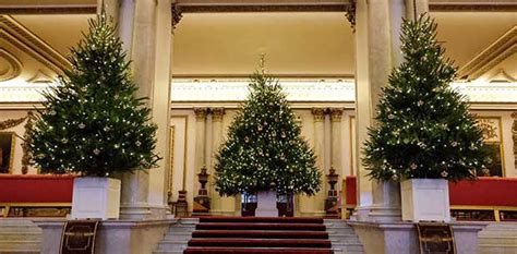 Buckingham Palace reveals stunning Christmas decorations for 2016 | OverSixty