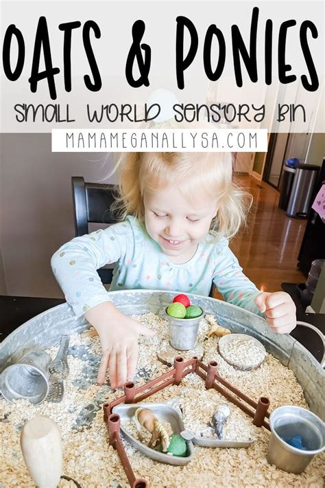 Pony And Oatmeal Sensory Bin Small World Play