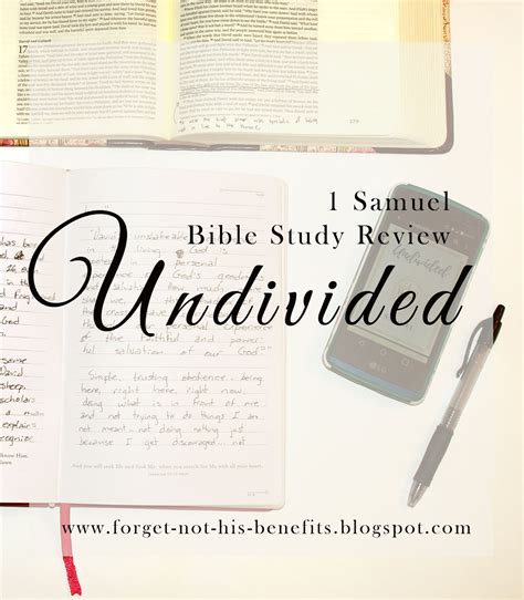 Forget Not His Benefits: Undivided: A Study in 1 Samuel Bible Study Review