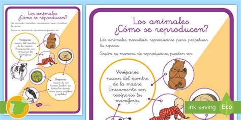 Hoja informativa Los animales Cómo se reproducen