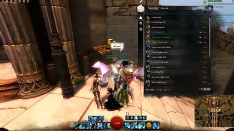 Guild Wars 2 Item And Inventory Management Tutorial YouTube