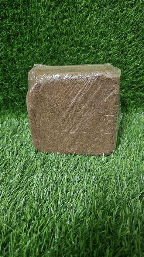 Cocopeat Block 5kg Green Friends Mini Store