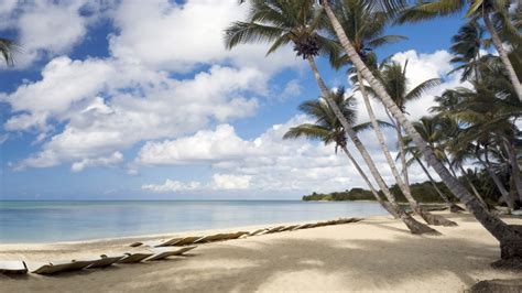 Hawaii Beach Zoom Background Images