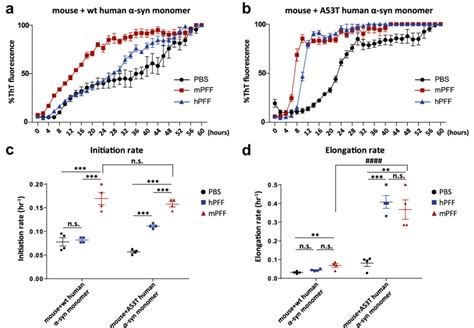 A53t Human α Syn Fibrillizes More Rapidly Than Wt Human α Syn In The