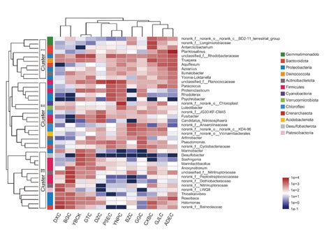 The Heatmap Shows The Relative Abundance Of The Top 40 Abundant Genera Download Scientific