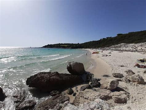 Bonifacio Windsurf 2019 Qué Saber Antes De Ir Lo Más Comentado Por