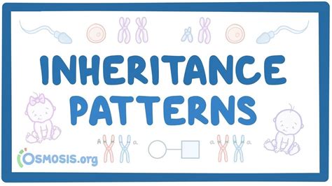 Inheritance patterns: Video, Causes, & Meaning | Osmosis