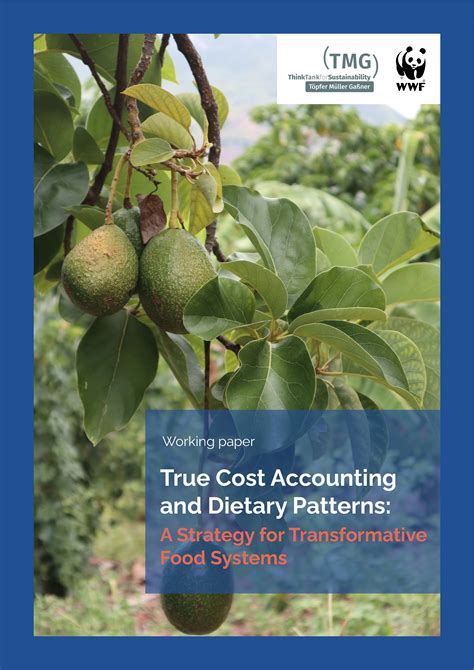 True Cost Accounting And Dietary Patterns A Strategy For