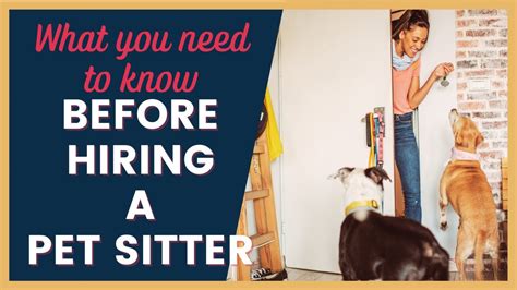 What You Need To Know Before Hiring A Pet Sitter Youtube