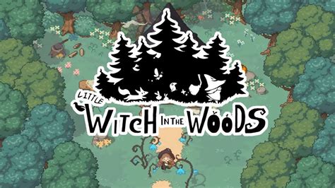 Little Witch in the Woods Controls Guide