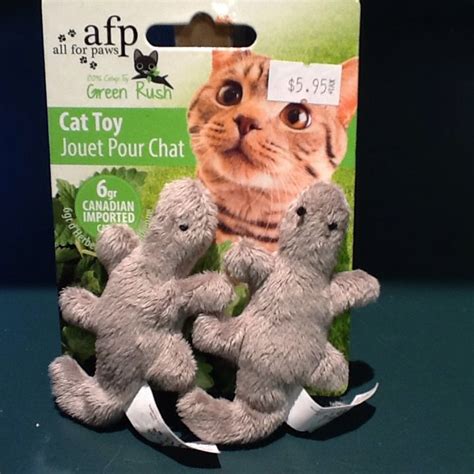 All for Paws Cat toys $5.95 | Cat toys, Cat accessories, Cats