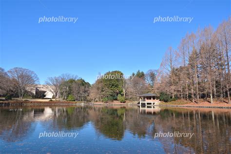 冬の栃木県中央公園 写真素材 [ 6248511 ] フォトライブラリー Photolibrary