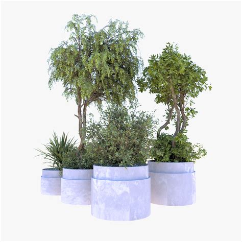 3D indoor plants model - TurboSquid 2059596