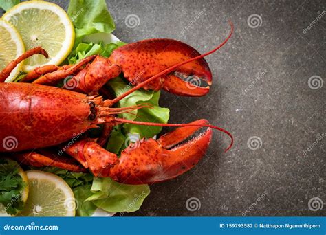 Boiled Lobster With Vegetable And Lemon Stock Photo Image Of