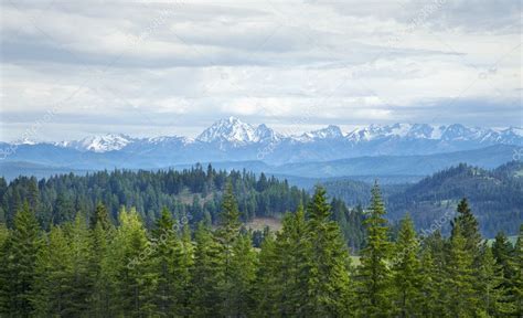 Mountains with snow and pines in Washington state — Stock Photo ...