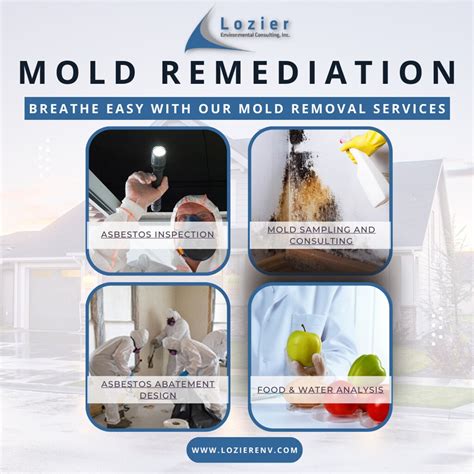 Mold Consulting Remediation Services Rochester Ny Flickr