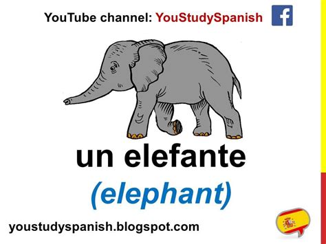 Spanish Lesson 28 - ANIMALS in Spanish Vocabulary Los animales en ...