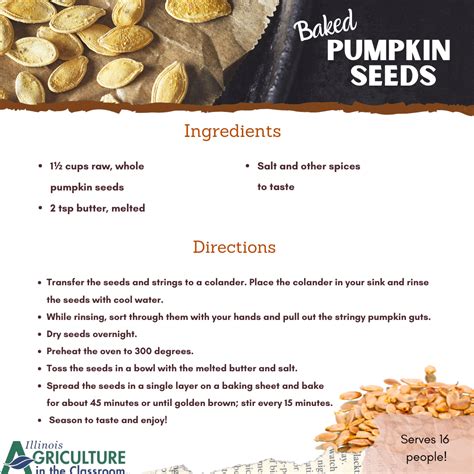 Baked Pumpkin Seeds Recipe