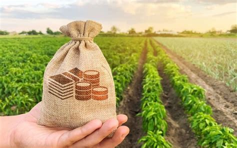 Revolução Verde pontos positivos e negativos